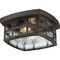 Quoizel Stonington Outdoor Flush Mount SNN1612PN - alternate 1